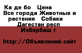 Ка де бо › Цена ­ 25 000 - Все города Животные и растения » Собаки   . Дагестан респ.,Избербаш г.